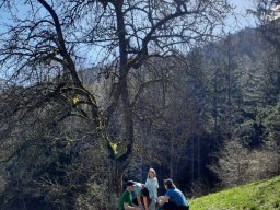 2025-04-wanderung-pfenningbach-07